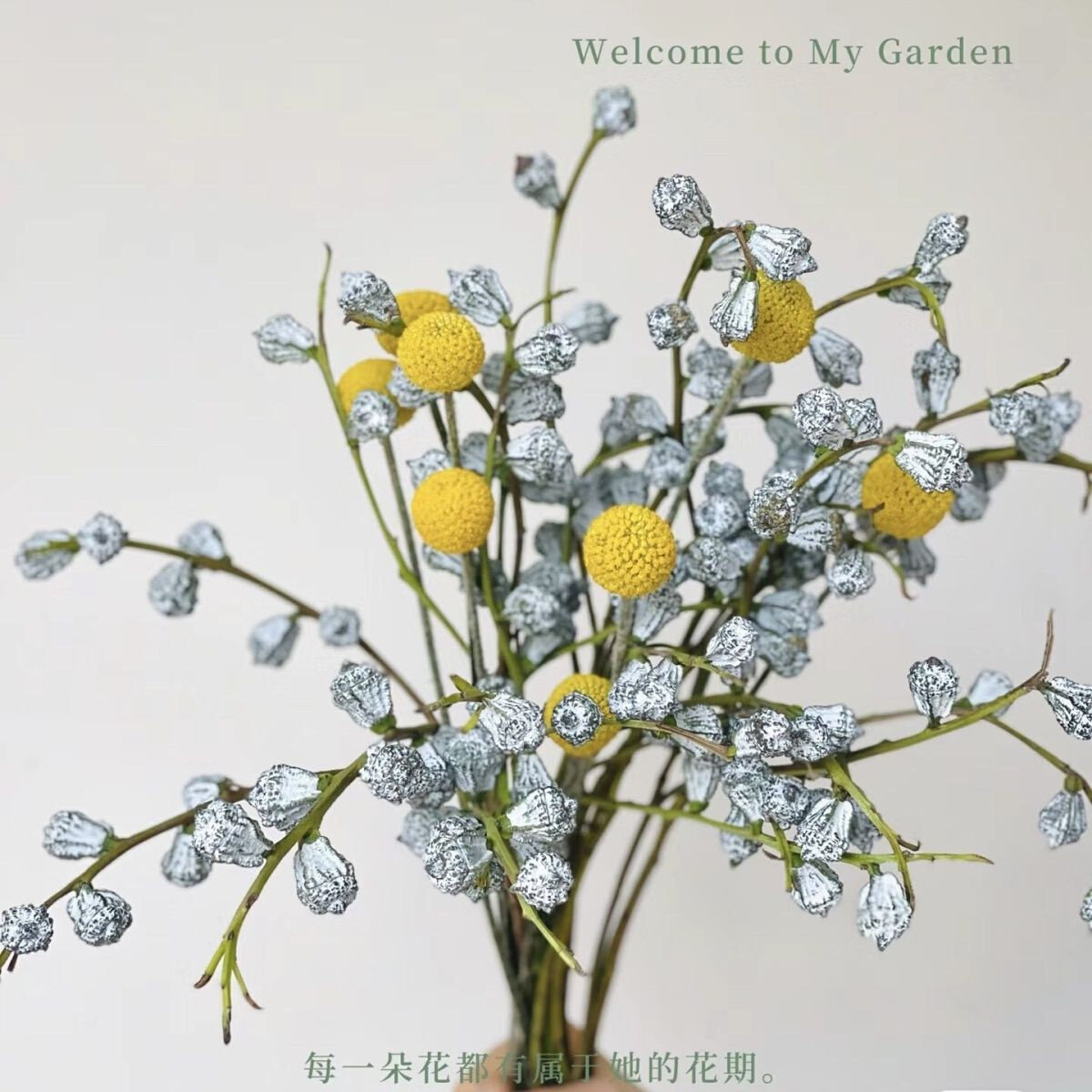 尤加利果黄金球氛围感鲜花干花安神助眠家居装饰摆设云南基地直发