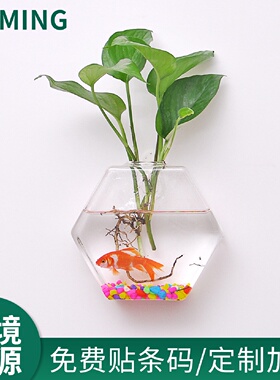 壁挂玻璃花盆4pc家居装饰挂墙水培花瓶六角形植物绿萝容器