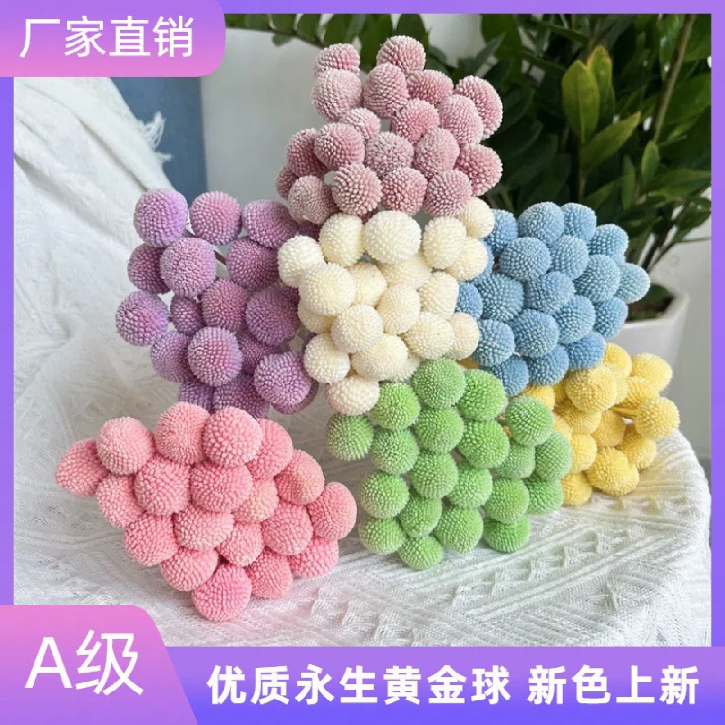 黄金球永生花花束干花真花保鲜花diy花材配花配草家居装饰摆件diy