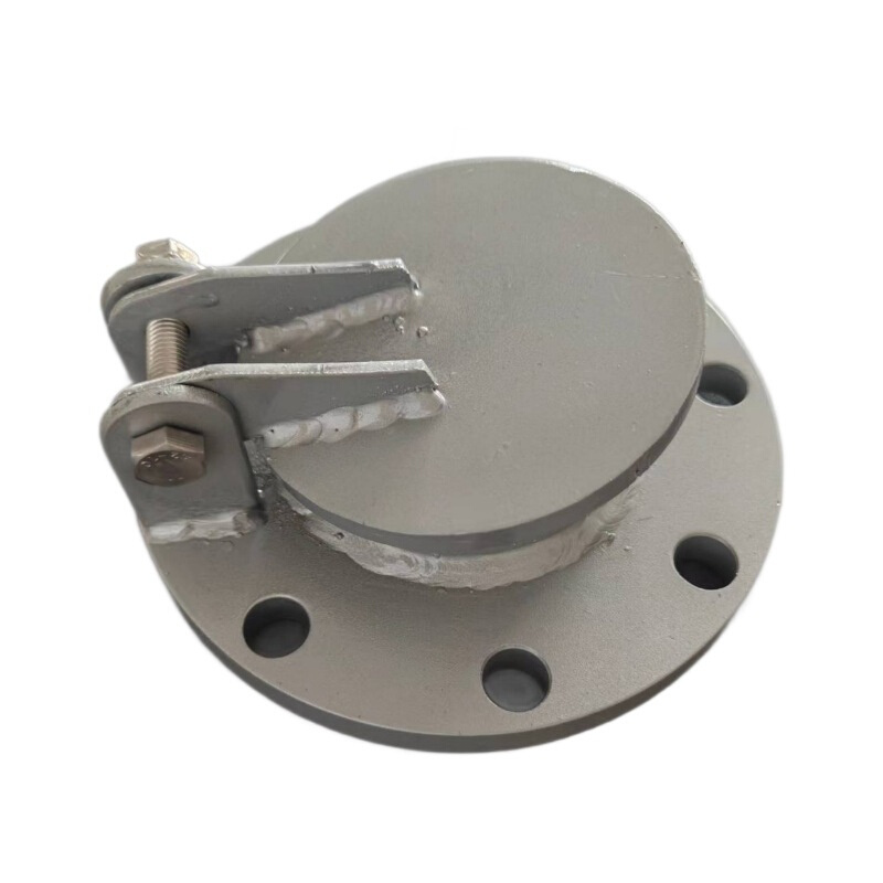 市政管道拍门防倒灌拍门铸铁拍门雨污分流不锈钢拍门