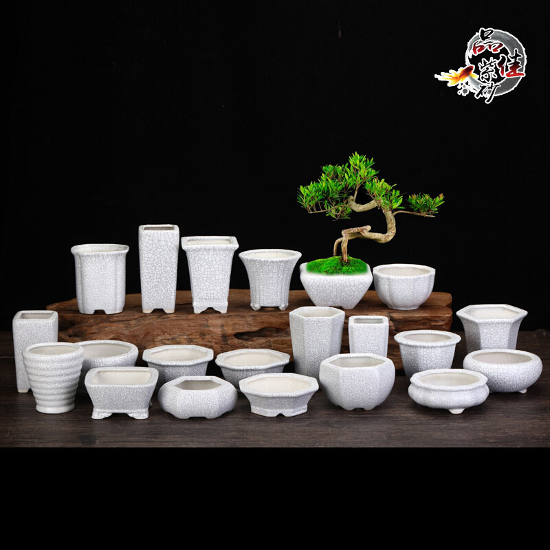 花盆陶瓷多肉盆白色冰裂小花盆创意阳台办公室桌面盆景盆盆栽批发