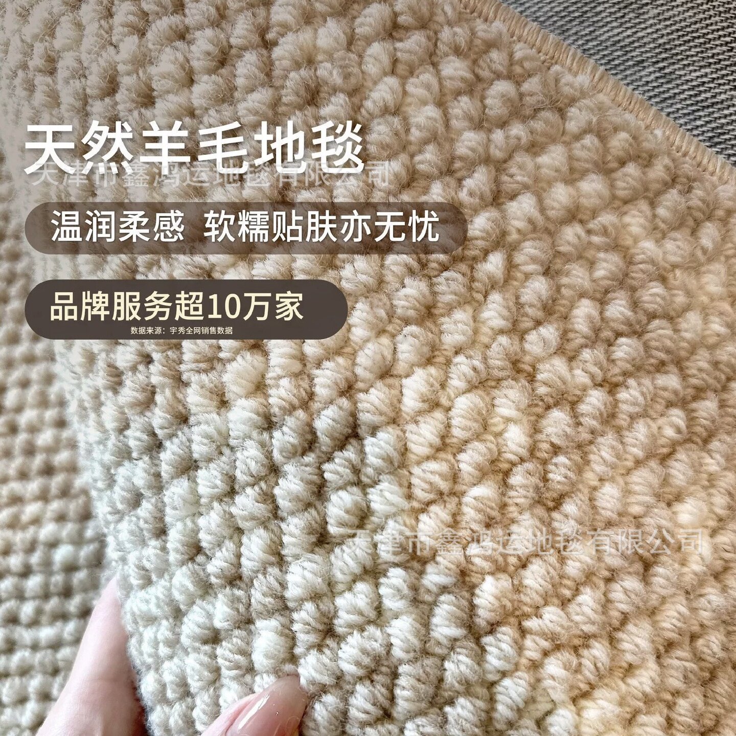 客厅轻奢高级新西兰羊毛地毯素色沙发茶几毯卧室垫耐脏厚大宅标配