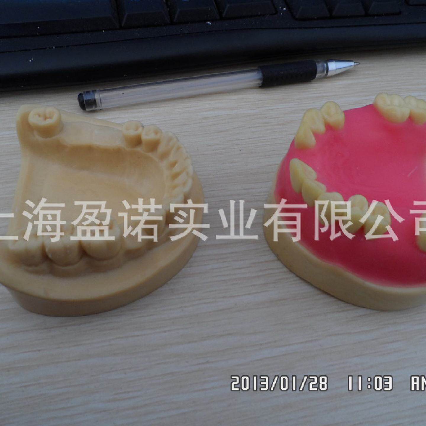 跨境口腔种植缺失下颌骨牙科种植种植操作下颌骨模型