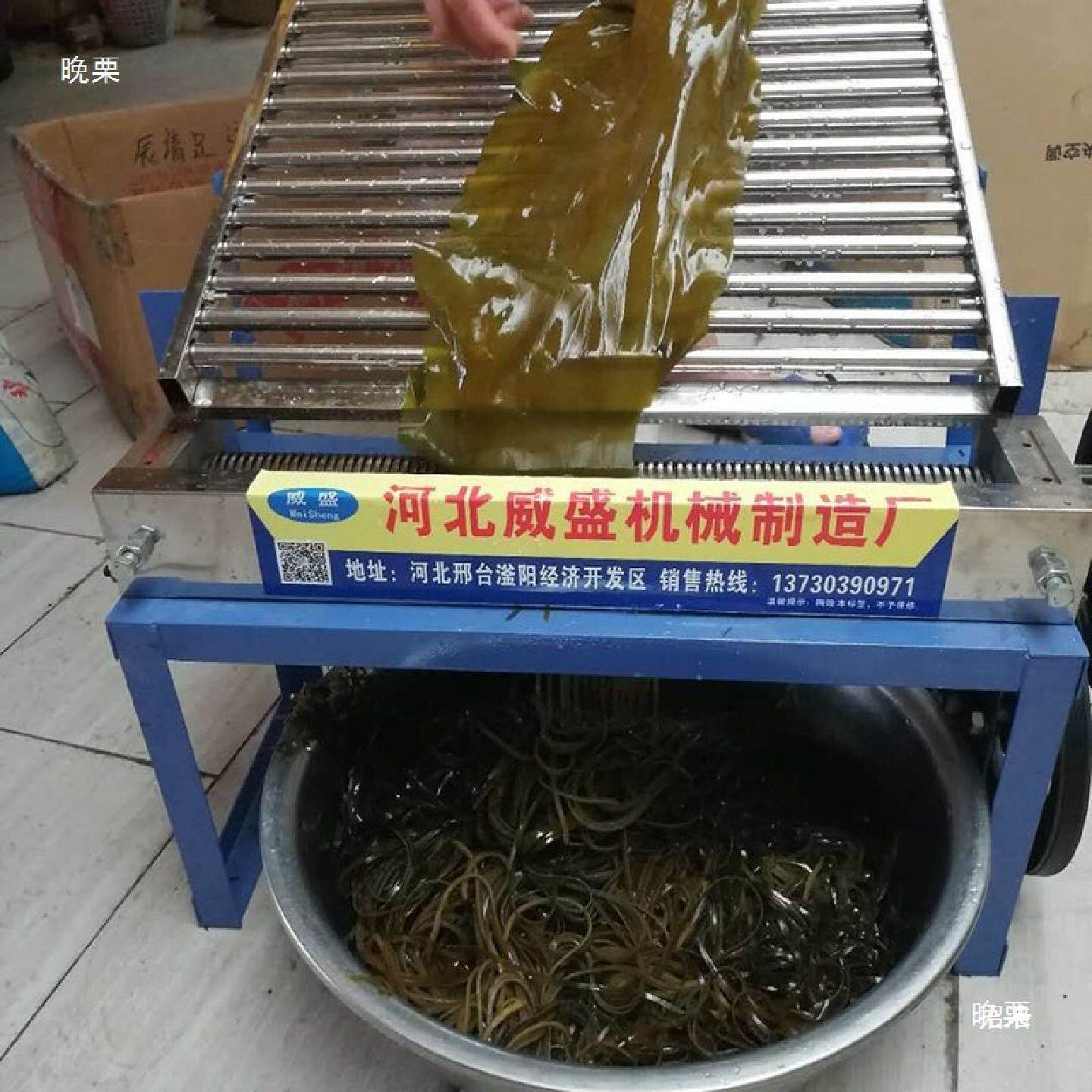 切海带切丝机商用电动凉皮米皮擀面皮切条机50小型家用刀切丝