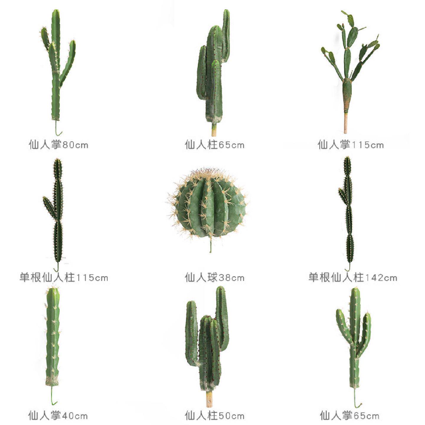 仿真仙人掌假仙人柱仿真仙人球橱窗造景仿真植物假仙人掌沙生植物