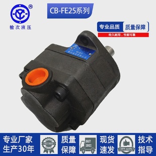 齿轮油泵CB 榆次液压款 FE10 F1L1 31.5