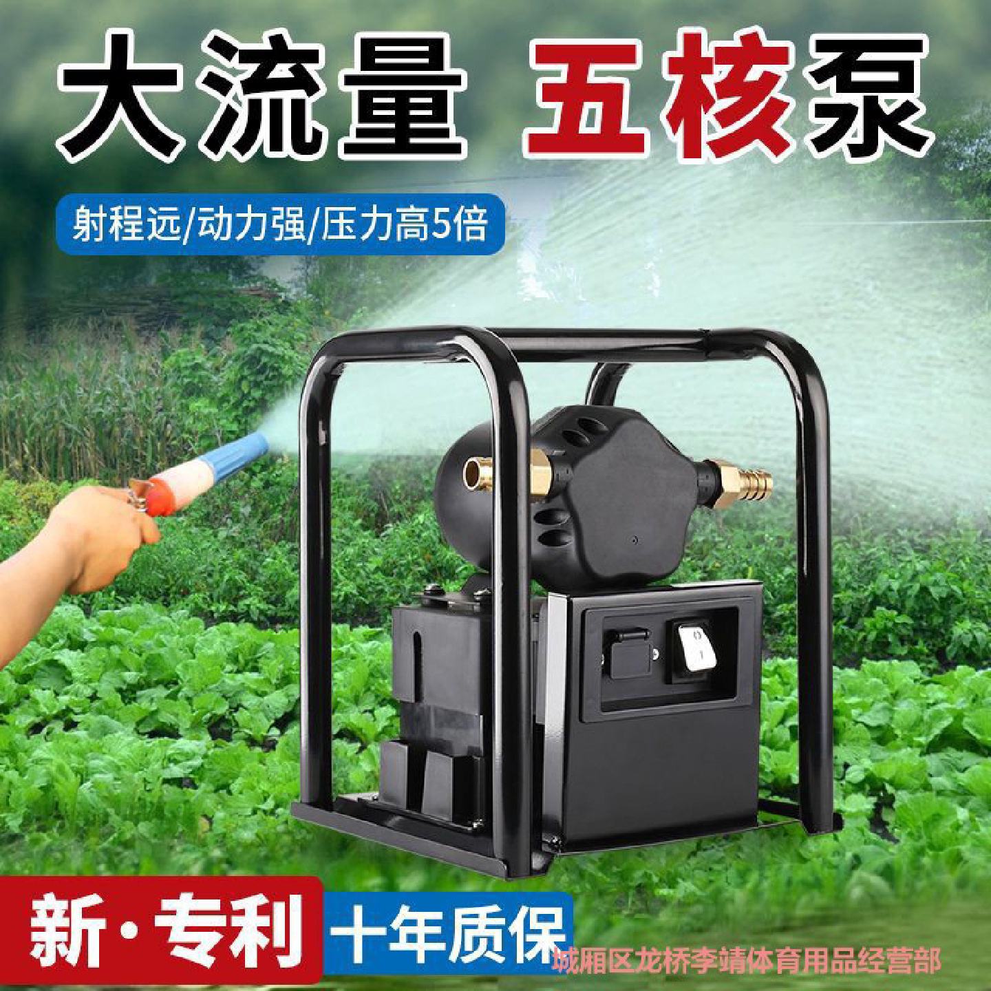 大功率充电浇菜水泵户外农用灌溉抽水机12V高压水泵大流量抽水泵