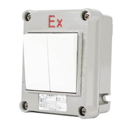SWB-10IIS防爆照明开关墙壁式ExdbebⅡCT6ExtbⅢC电流10A电压220V