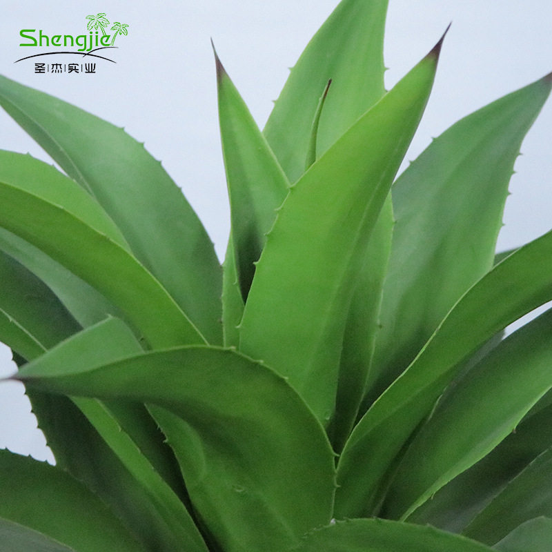 仿真黄冠兰盆栽欧式家居装饰假植物龙舌兰剑叶厂家人造植物现货