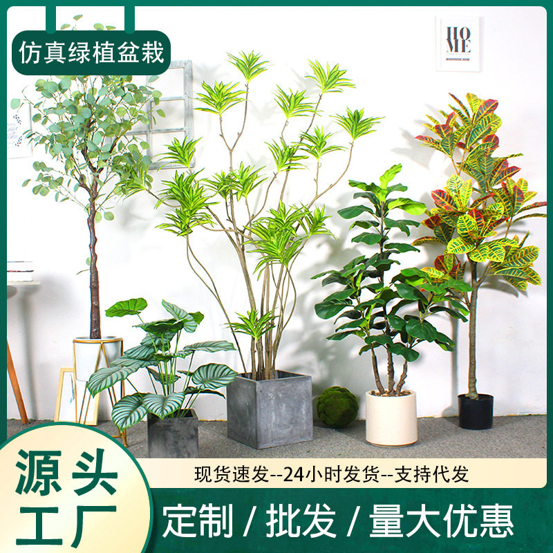 家居仿真绿植盆栽尤加利金钱树柠檬树绿植造景芭蕉树仿真龙血树