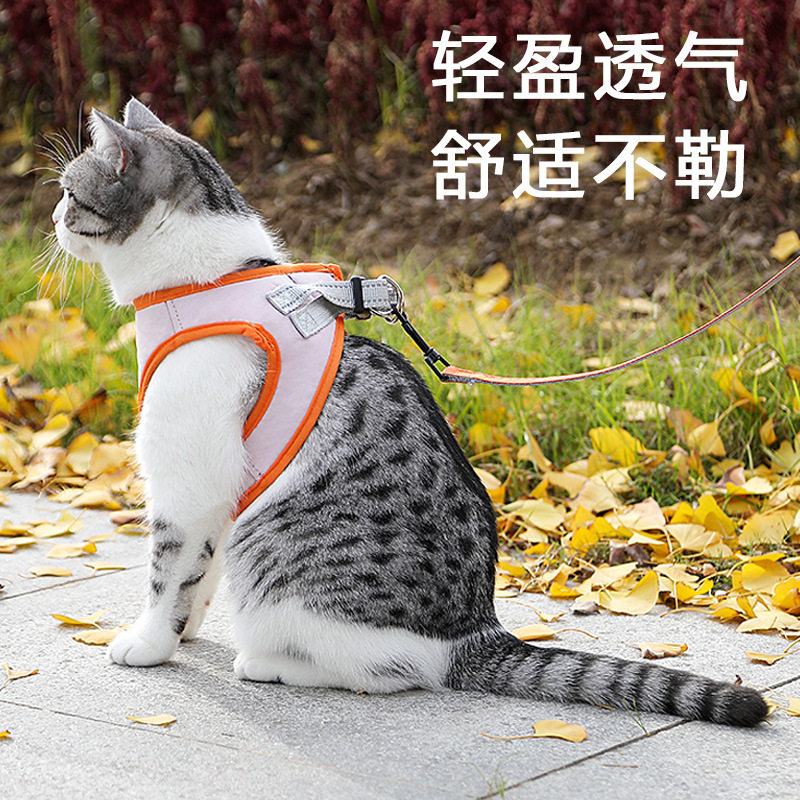 狗狗牵引绳小型犬胸背带遛狗绳背心式泰迪狗绳比熊遛狗绳子狗链