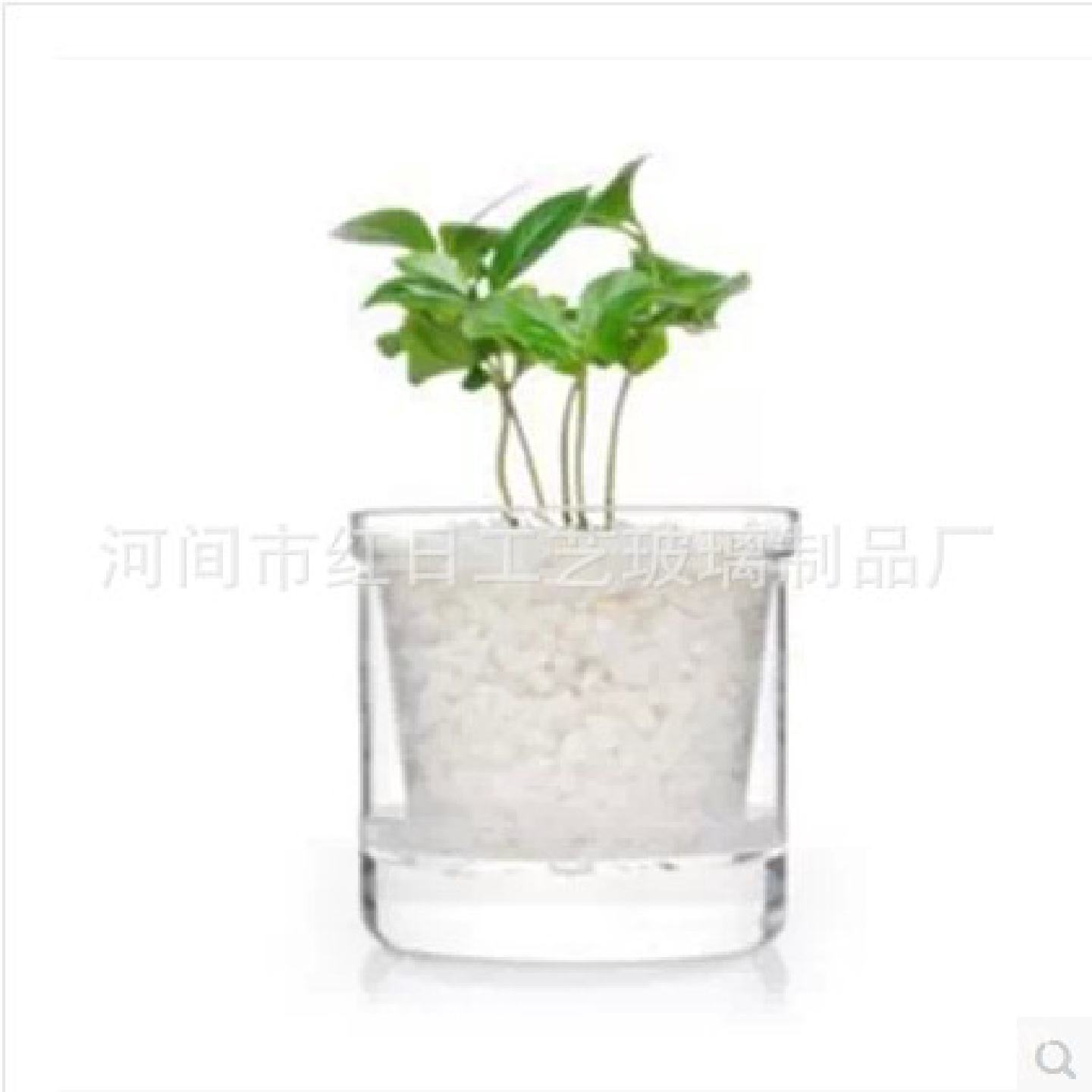 日式耐热透明玻璃花盆储水式双层水培迷你小花盆花瓶茶室摆件