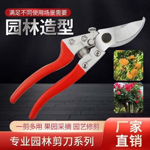 修枝剪刀钢剪树果树剪子家用花木修剪园艺葡萄果剪修枝剪树枝直销