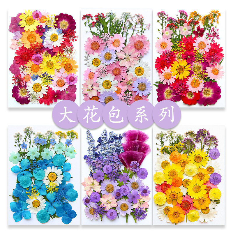 干花压花材料包押花diy押花书签滴胶干花手机壳压花押花植物标本