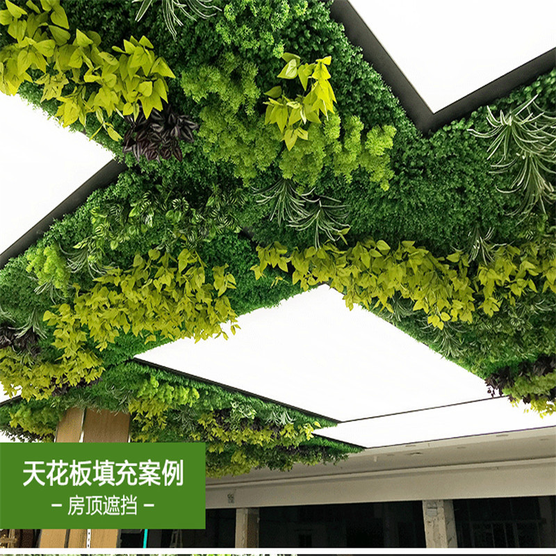 绿植墙仿真植物墙室外塑料假草坪墙面装饰垂直绿化墙背景