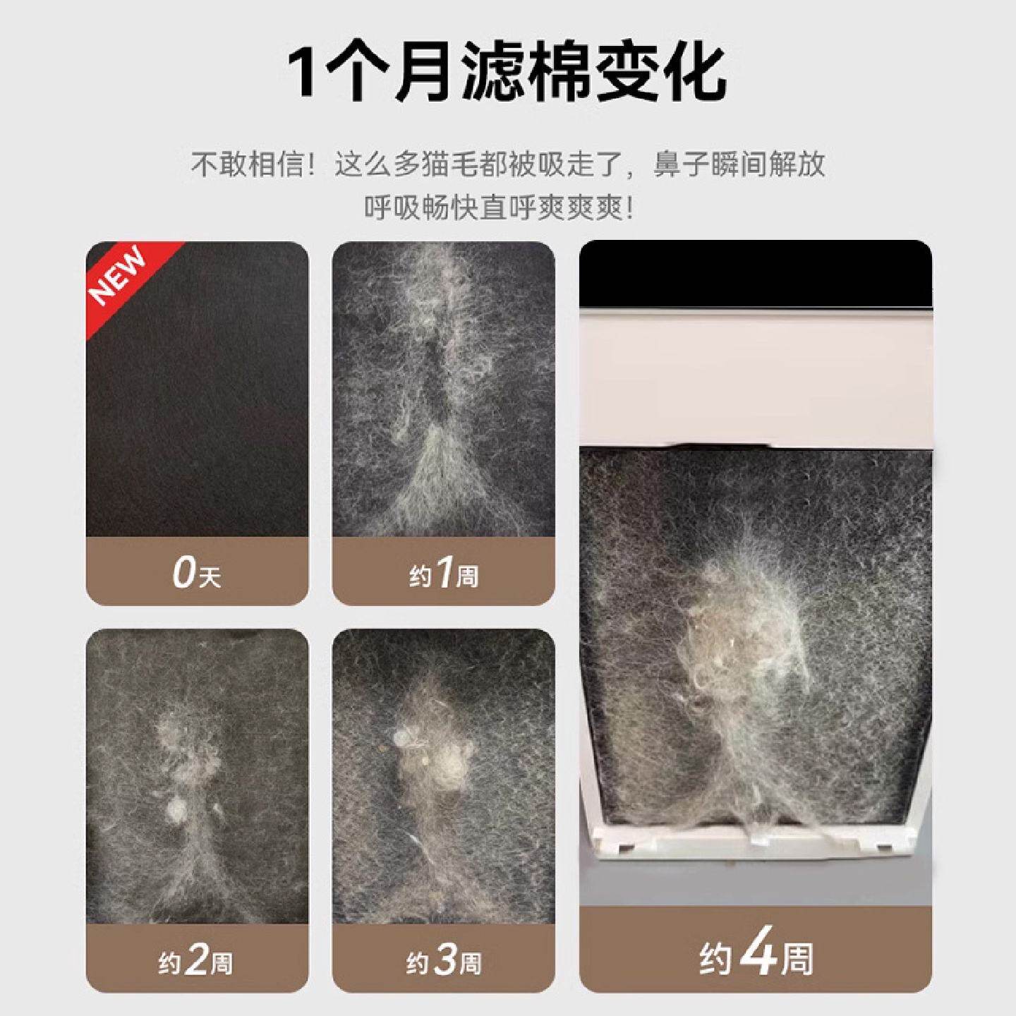 全自动吸猫毛神器宠物空气净化器家用养猫专用吸毛机吸附浮毛除臭