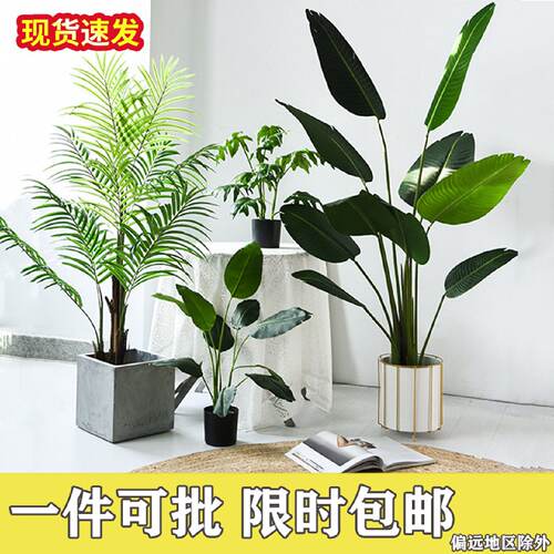 北欧风仿真植物旅人蕉龟背天堂鸟假绿植盆栽客厅室内造景装饰盆景