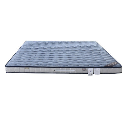 林芃蓝湾椰棕床垫榻榻米薄棕垫天然乳胶折叠儿童家用硬垫子