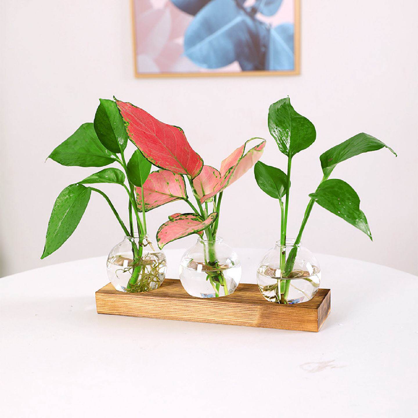 创意透明玻璃绿植盆栽花瓶水培容花瓶