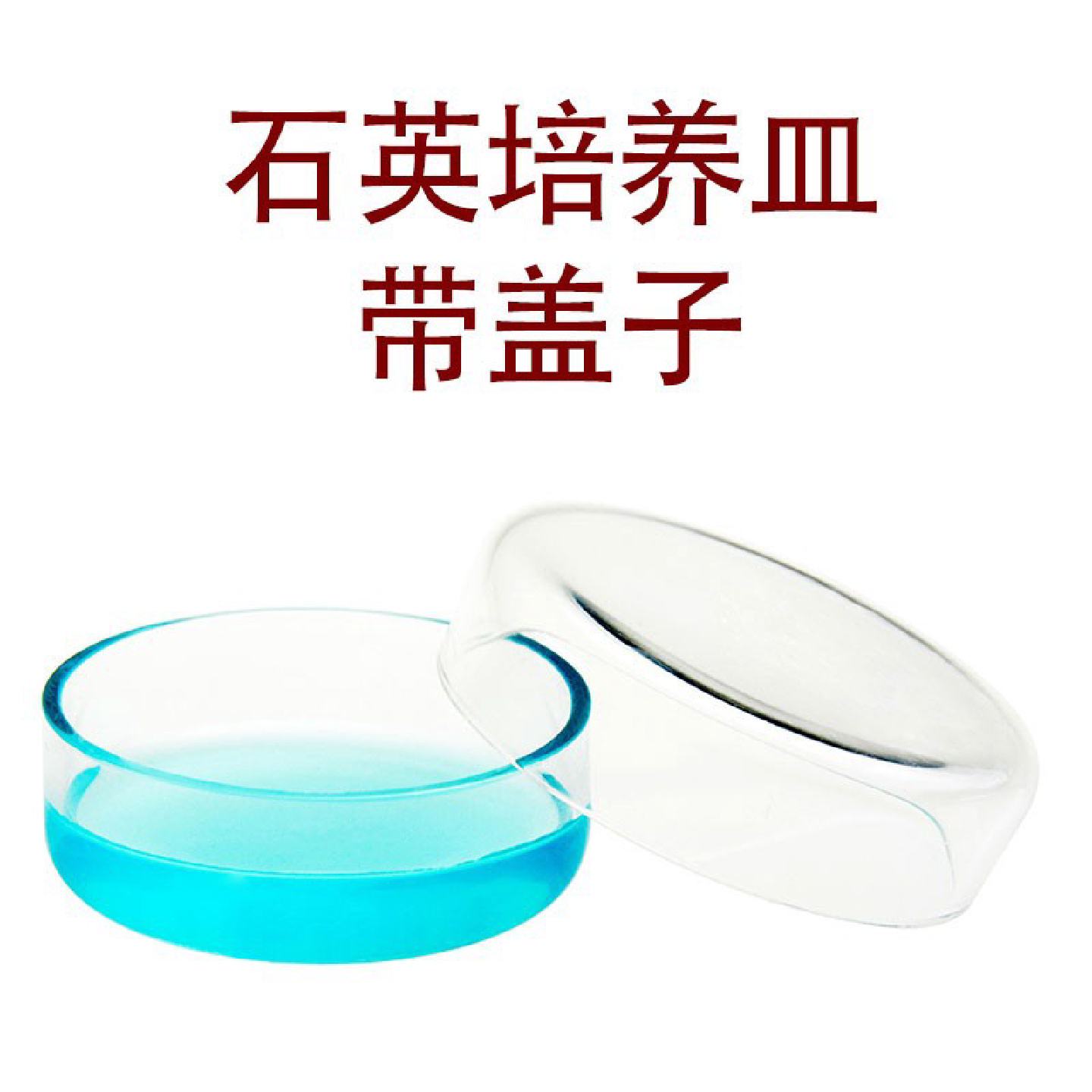 高硼硅玻璃培养皿35mm/60/70/90/100/120mm实验室细菌细胞培养皿