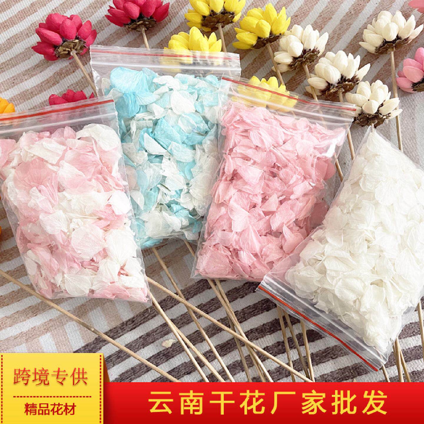 永生花绣球花瓣干花永生材料绣球花跨境婚礼散花包伴手干花材diy