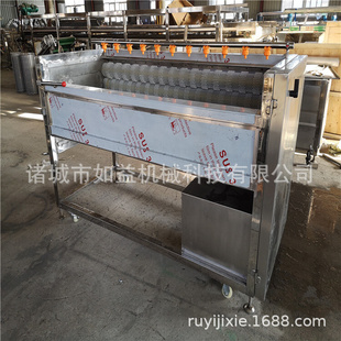 电动式玉米刷毛机 速冻玉米段刷毛设备 玉米切段刷毛机厂家直供