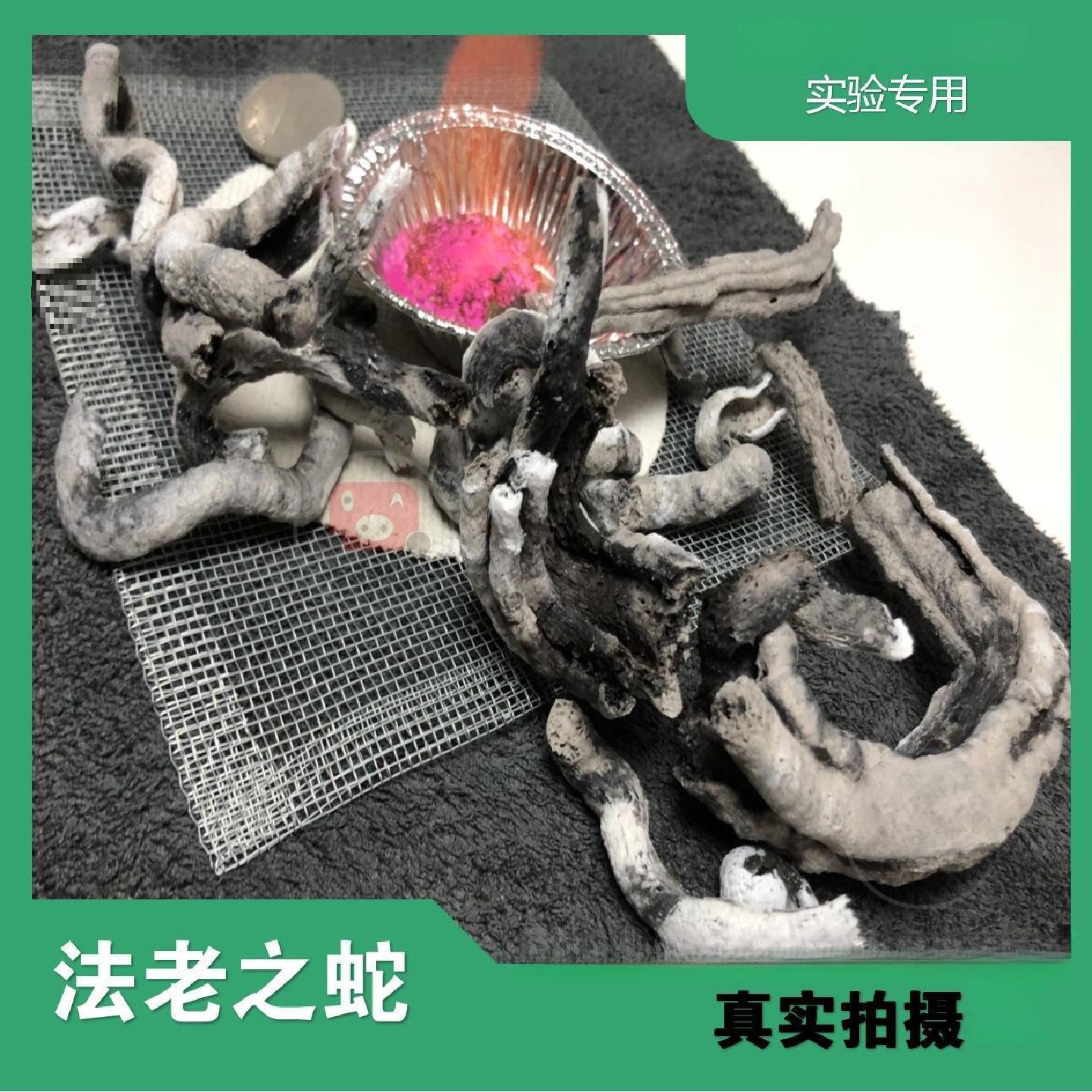 法老之蛇儿童科学小实验套装玩具热胀冷缩/感温玩具