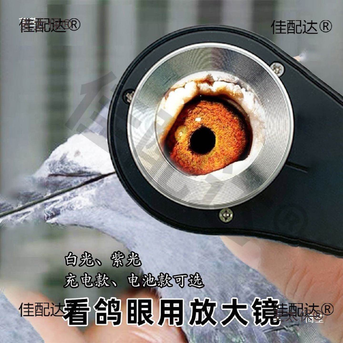 60倍放大镜鸽子鉴定高清面料照布镜眼睛带灯100刻度麦太保