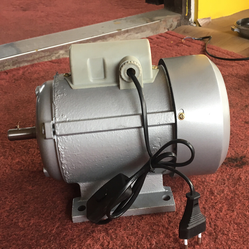 厂家直供1v椰子刨电动机定制