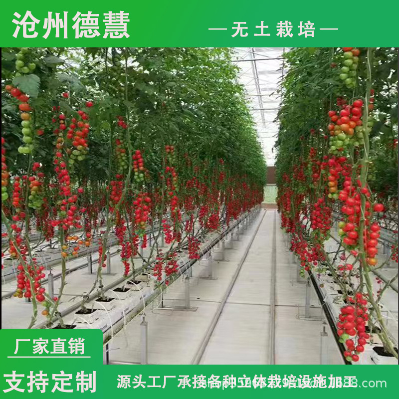 工厂直销大棚立体栽培育苗槽无土栽培设备草莓番茄种植槽蔬菜