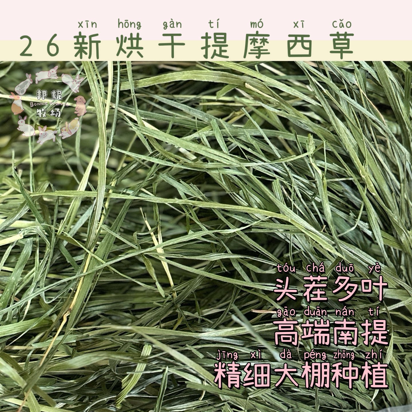 26年头茬高端暖棚烘干南提