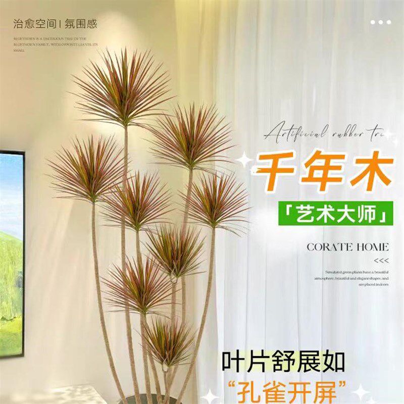 千年木客厅绿植大型植物盆栽造景室内好养七彩铁龙血树落地式真树