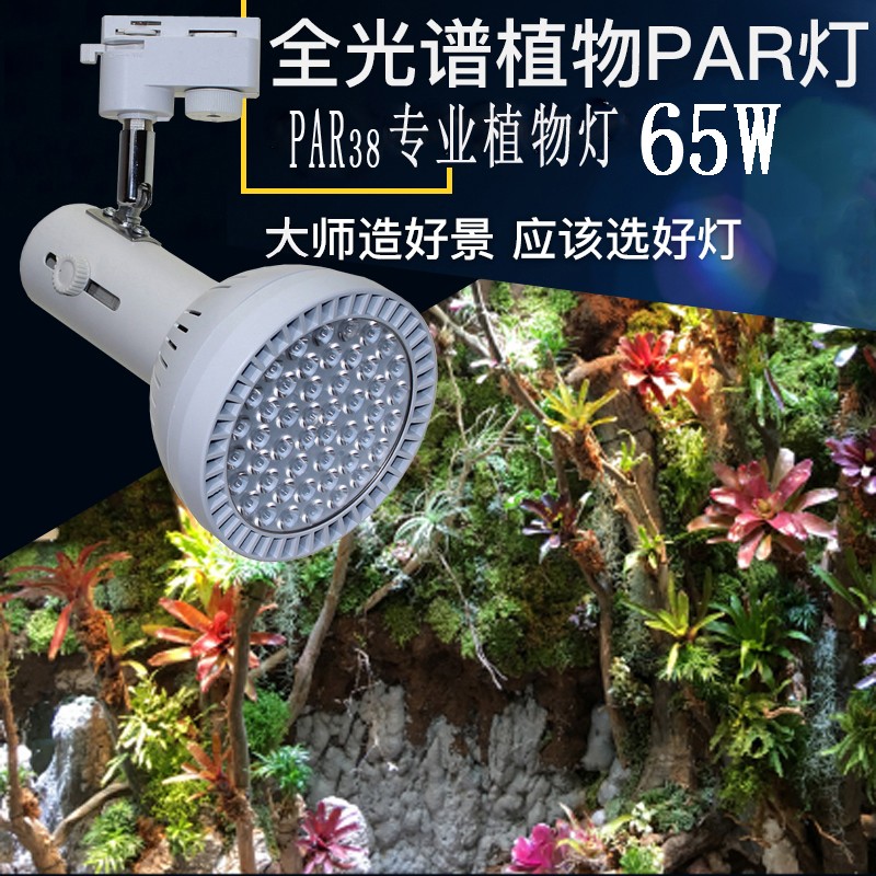 65W植物墙补光射灯室内假山鱼缸造景全光谱led生V长轨道雨林缸灯