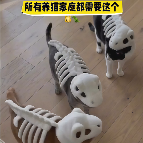 猫咪恐龙头套宠物拍照玩偶