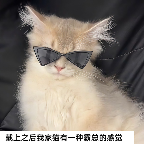 猫狗拍照三角墨镜户外护目镜