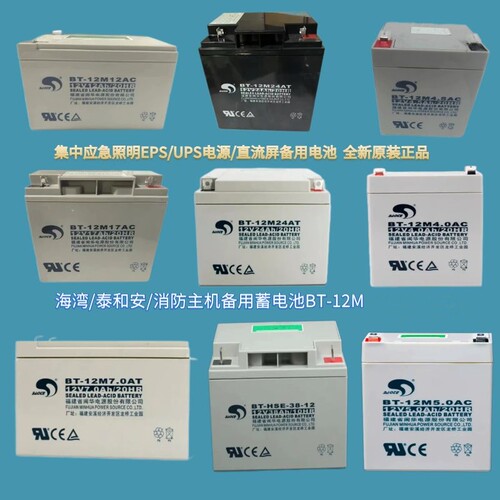 赛特蓄电池机房直流屏消防主机EPS/UPS应急报警备用铅酸蓄电池