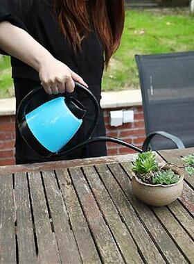 1.2L Stainless Steel Watering Pot Gardening Potted Small