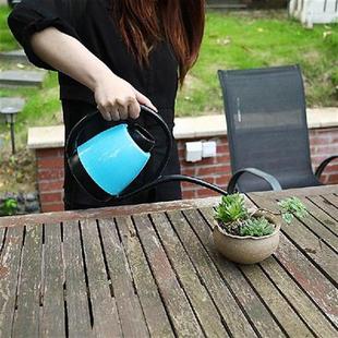 1.2L Stainless Steel Watering Pot Gardening Potted Small