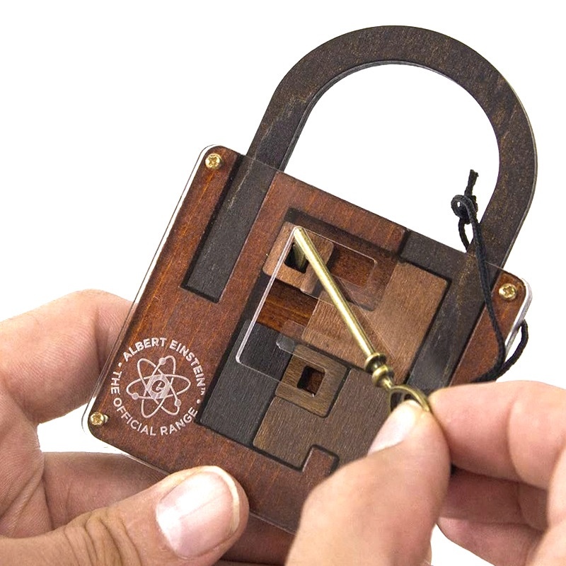 High Difficulty Level IQ Einstein Lock Puzzle Classic Wooden