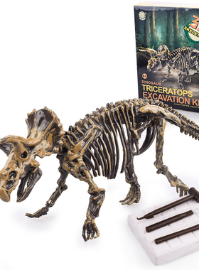 Dinosaur Fossil Excavation Kits Education Archeology Exquisi