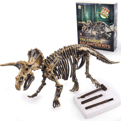 Dinosaur Fossil Excavation Kits Education Archeology Exquisi