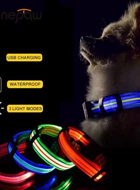 Benepaw Comfortable USB Rechargeable Glowing Led Dog Collar