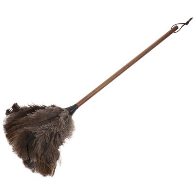 1Pc Long Handle Duster Feather Duster Dust Cleaning Tool Wal