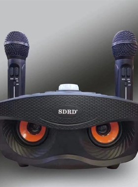 SD306 Dual Wireless Microphone Bluetooth Speaker Mobile Wir