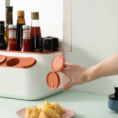 Multifunction Condiment Seasoning Box with Cover Spice Cruet