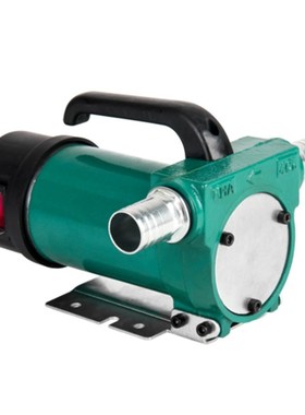 Mini DC 12V 24V 220V 200W 60L/MIN Self Priming Electric Auto