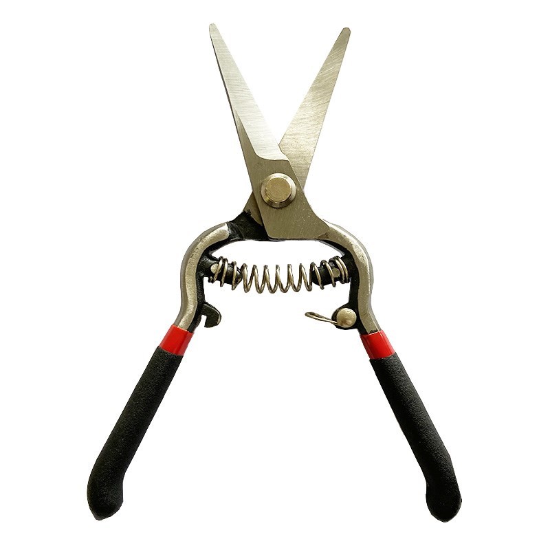 8 Inch Florist Scissors for Herbs Grape Trimmers with Spring