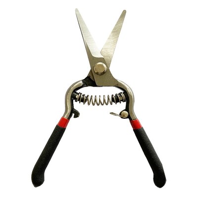 8 Inch Florist Scissors for Herbs Grape Trimmers with Spring