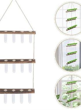 1 Set Of Plant Propagation Tubes Hanging Plant Terrariums