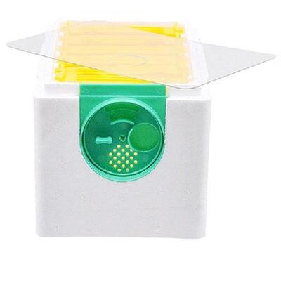 Beekeeping Tools Box Single layer Harvest Queen Pollination